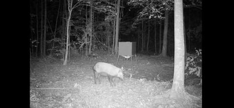 0 Campbell Highlands Drive Pioneer TN 37847