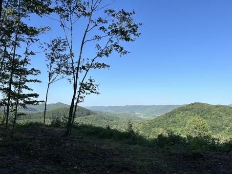0 Campbell Highlands Drive Pioneer TN 37847