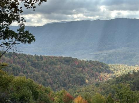 0 Campbell Highlands Drive Pioneer TN 37847