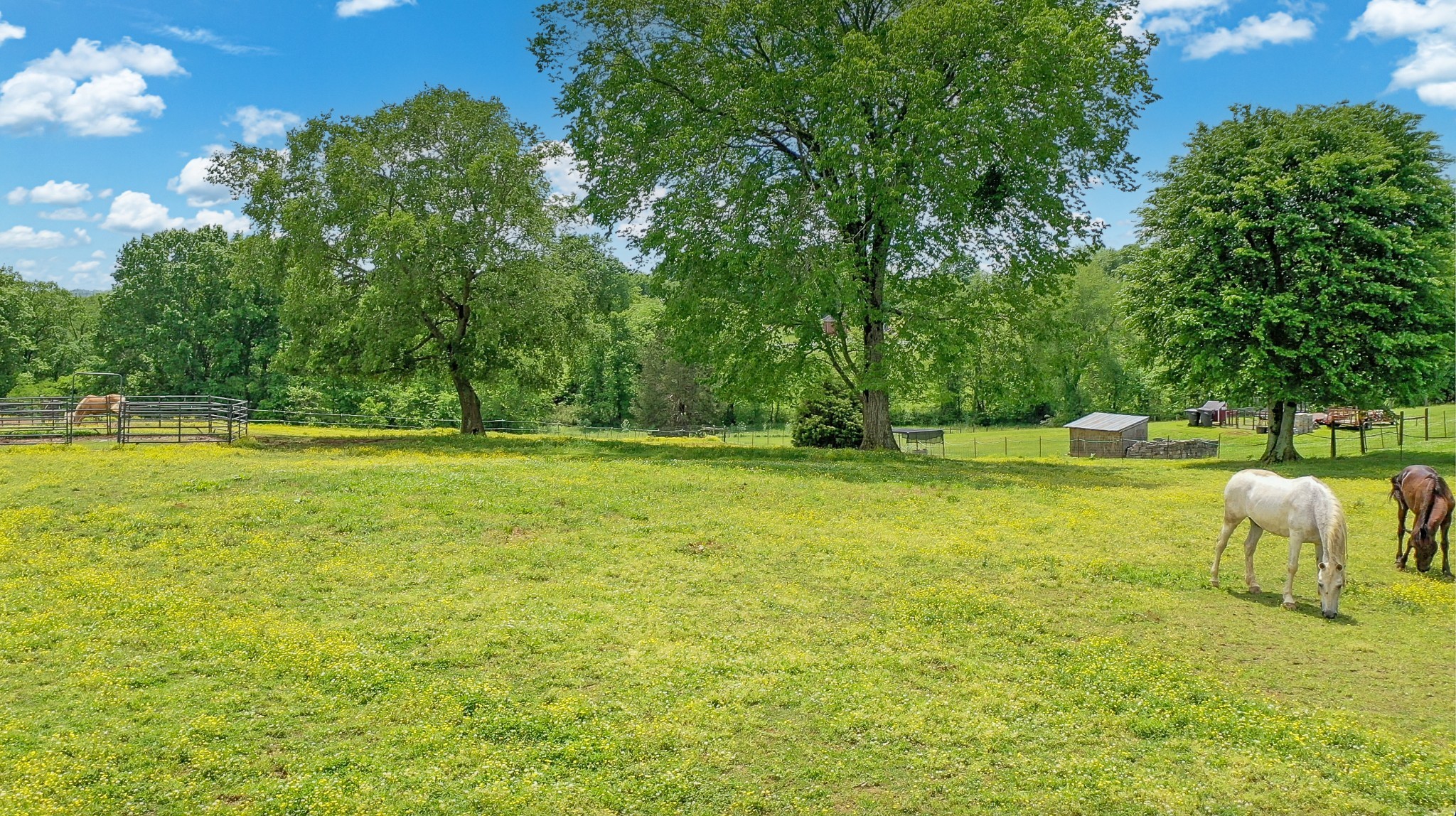 2358 Nashville Highway Columbia TN 38401