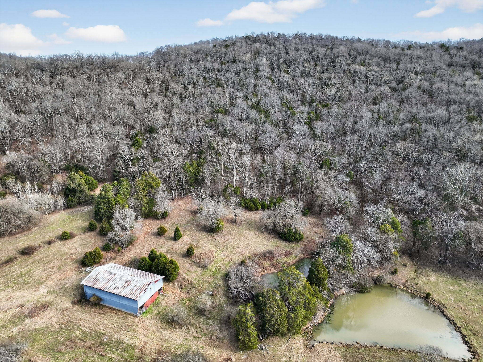 0 Whitefield Lane Carthage TN 37030