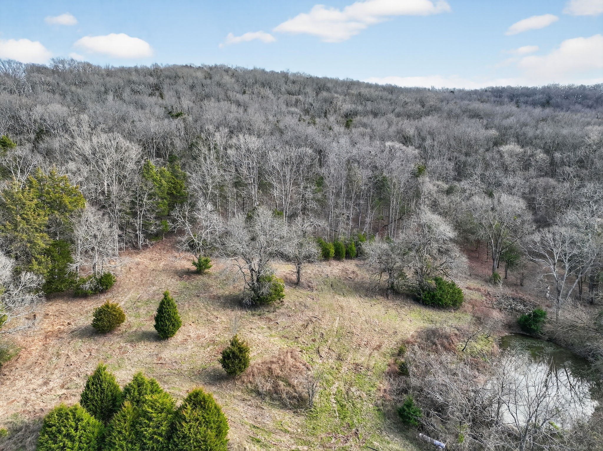 0 Whitefield Lane Carthage TN 37030