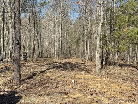137 Summit Drive Dover TN 37058