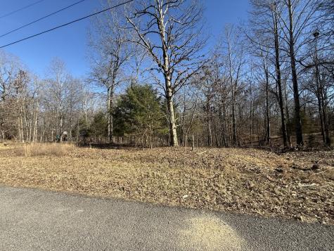 55 Backwoods Estates Indian Mound TN 37079