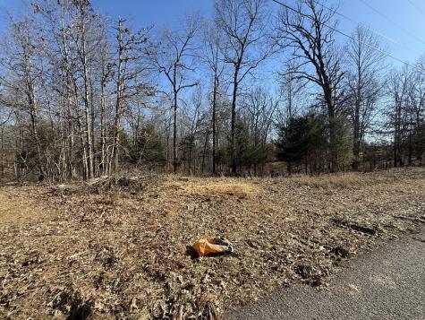 55 Backwoods Estates Indian Mound TN 37079
