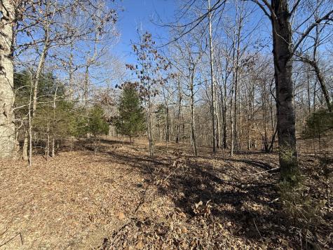 55 Backwoods Estates Indian Mound TN 37079