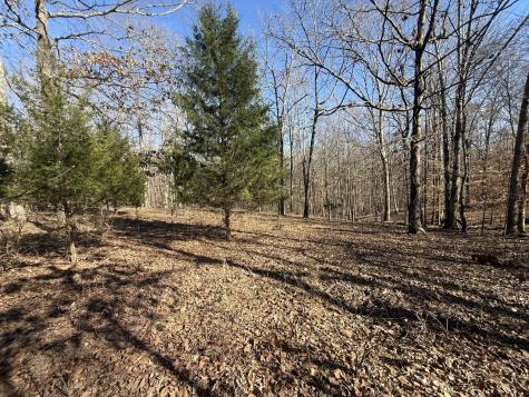 55 Backwoods Estates Indian Mound TN 37079