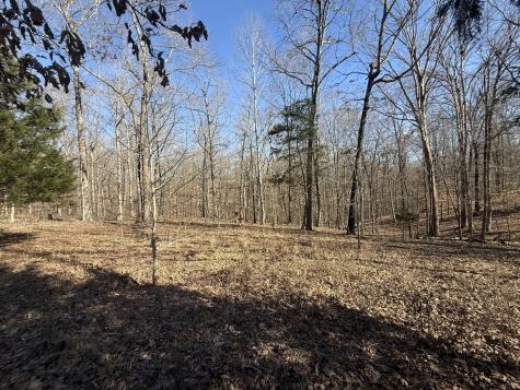 55 Backwoods Estates Indian Mound TN 37079