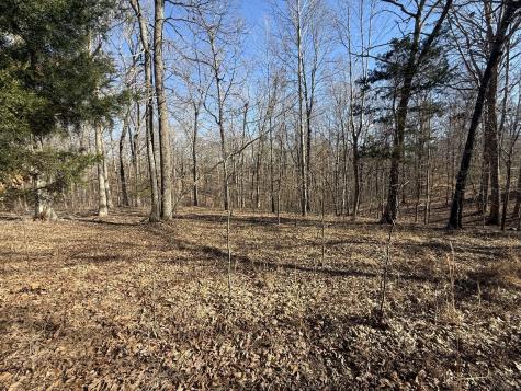 55 Backwoods Estates Indian Mound TN 37079