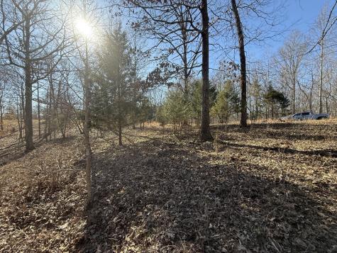 55 Backwoods Estates Indian Mound TN 37079
