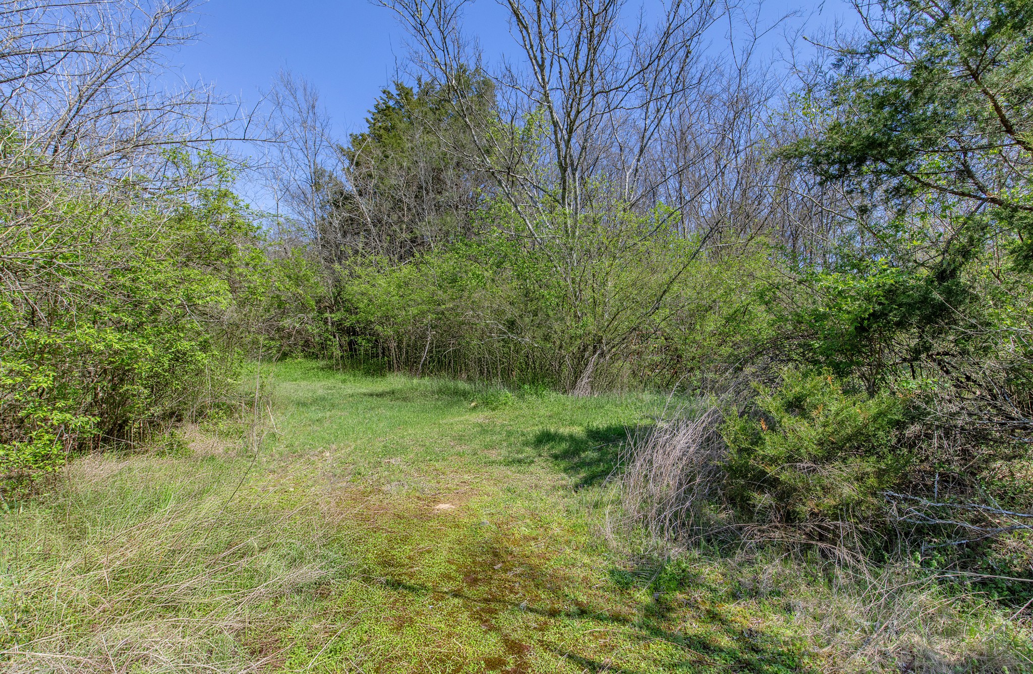 227 Spero Road Goodlettsville TN 37072
