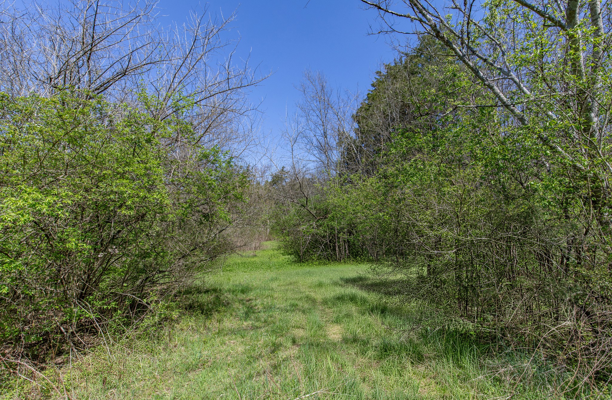227 Spero Road Goodlettsville TN 37072