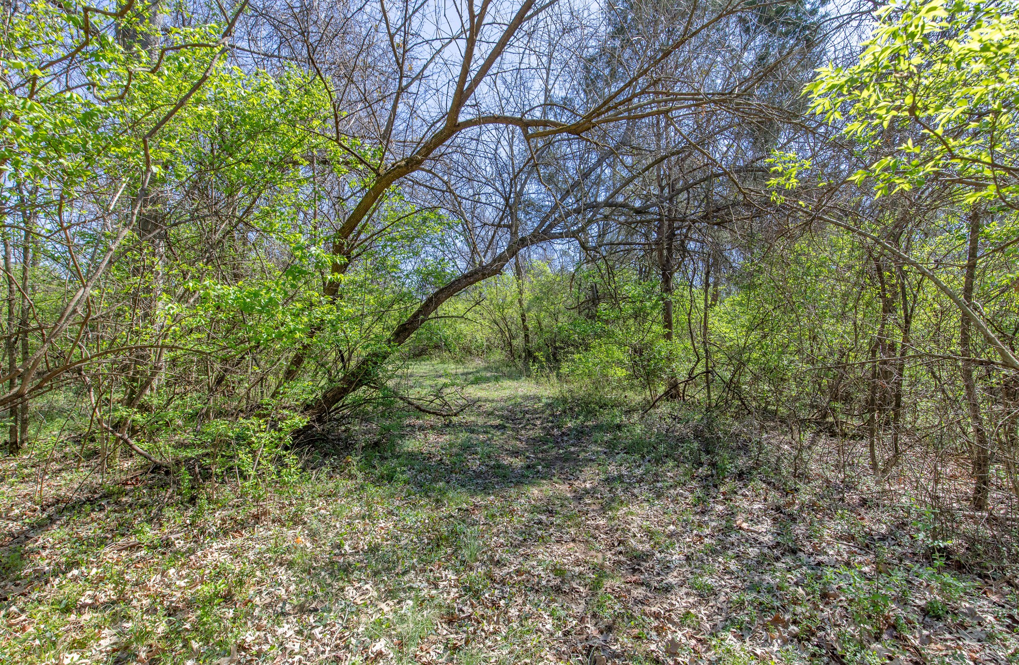 227 Spero Road Goodlettsville TN 37072