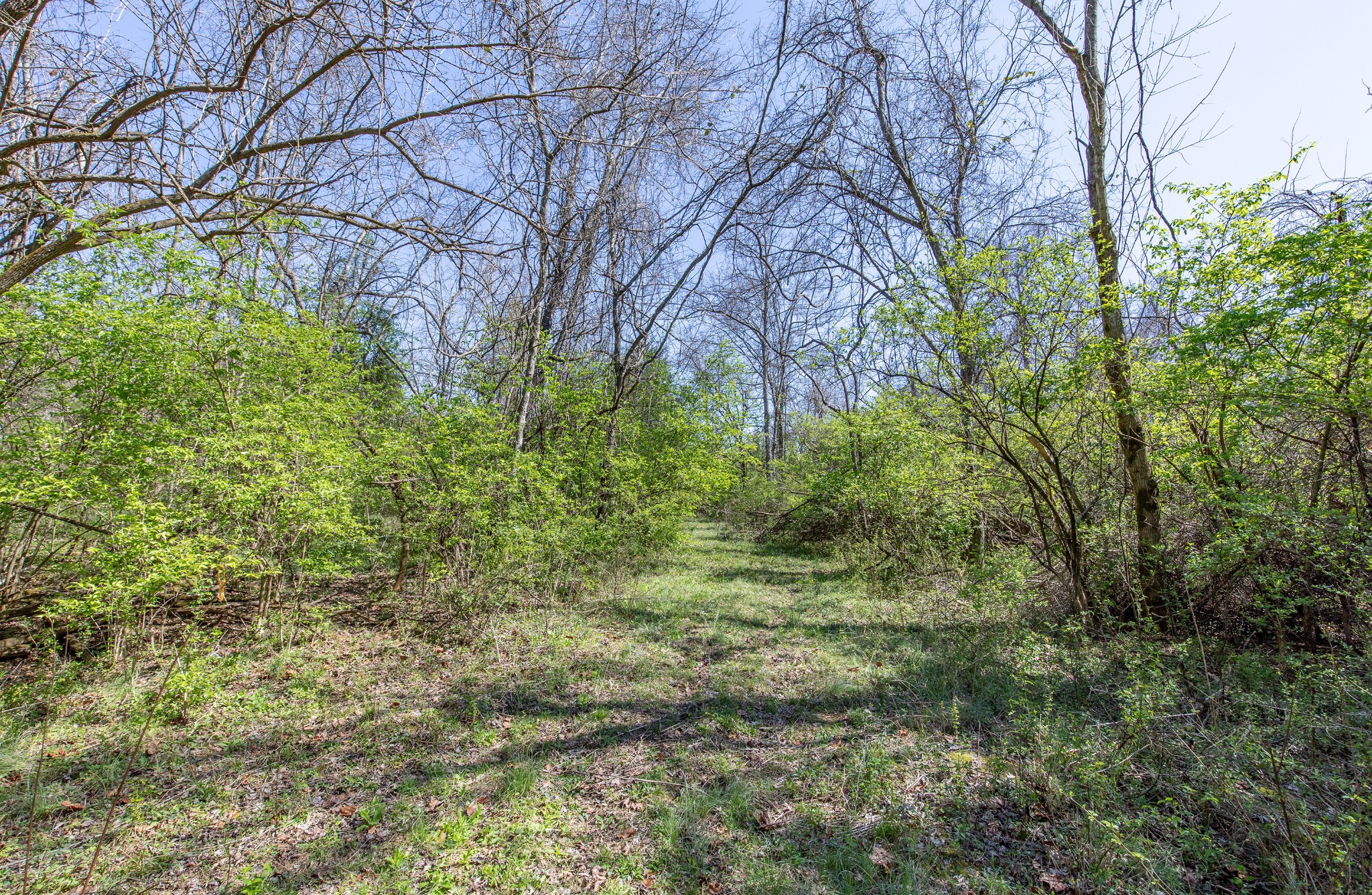 227 Spero Road Goodlettsville TN 37072