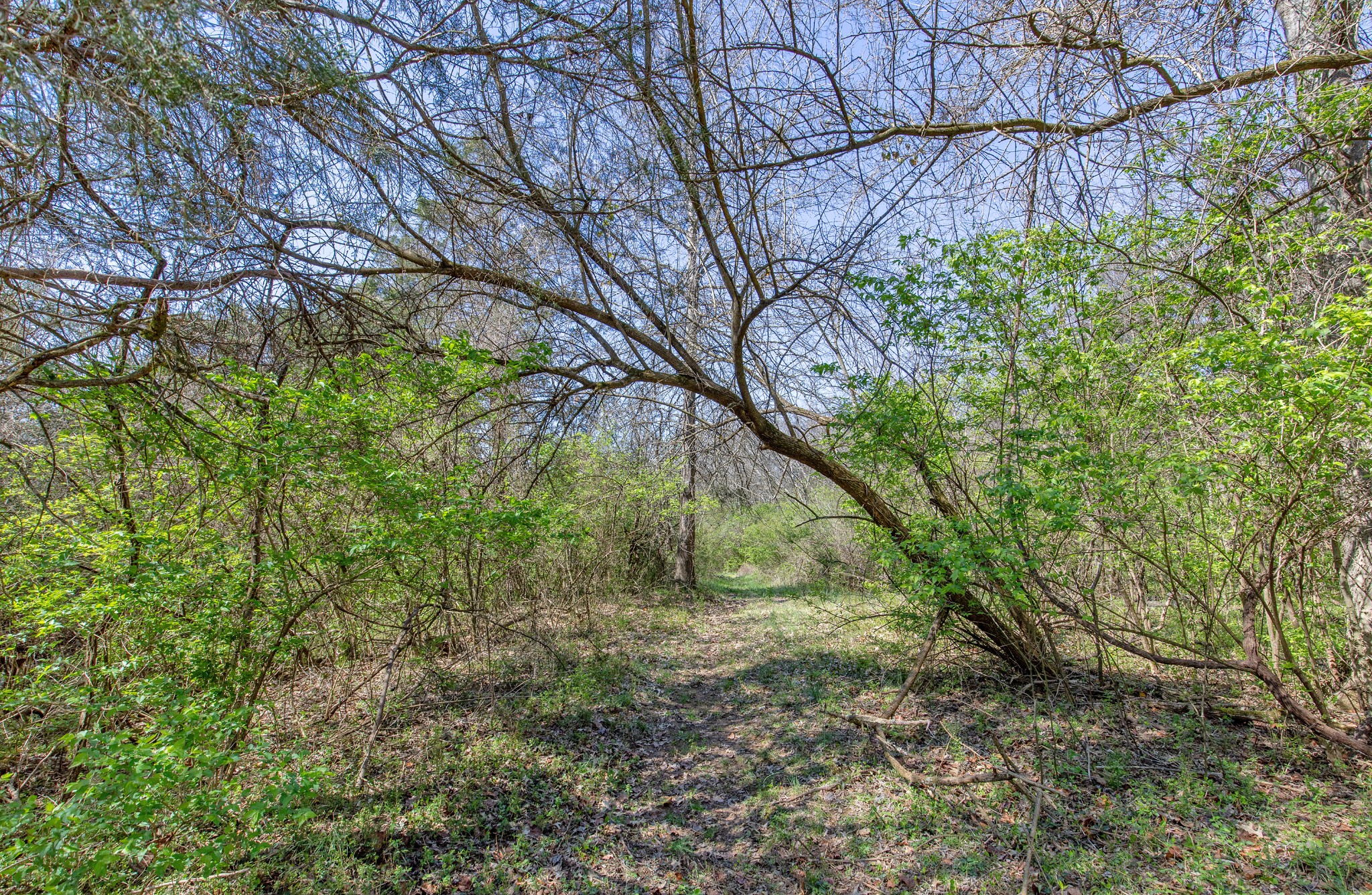 227 Spero Road Goodlettsville TN 37072