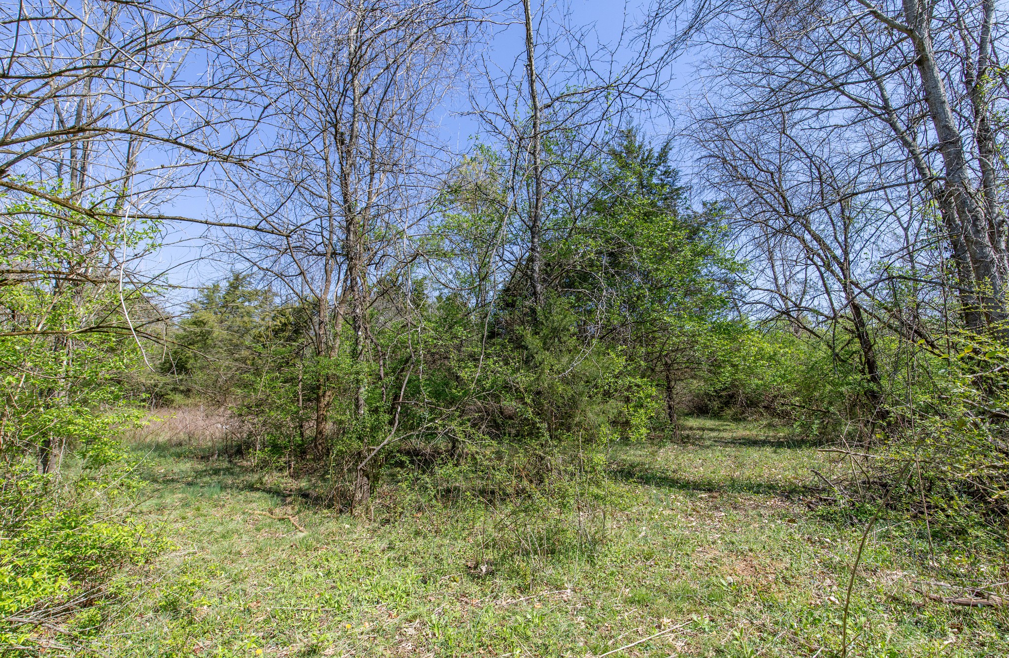 227 Spero Road Goodlettsville TN 37072