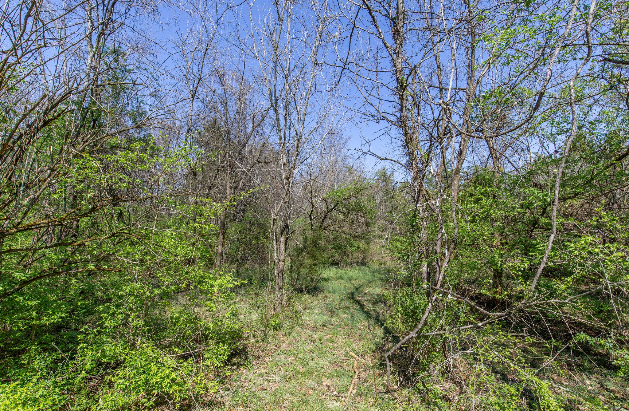 227 Spero Road Goodlettsville TN 37072