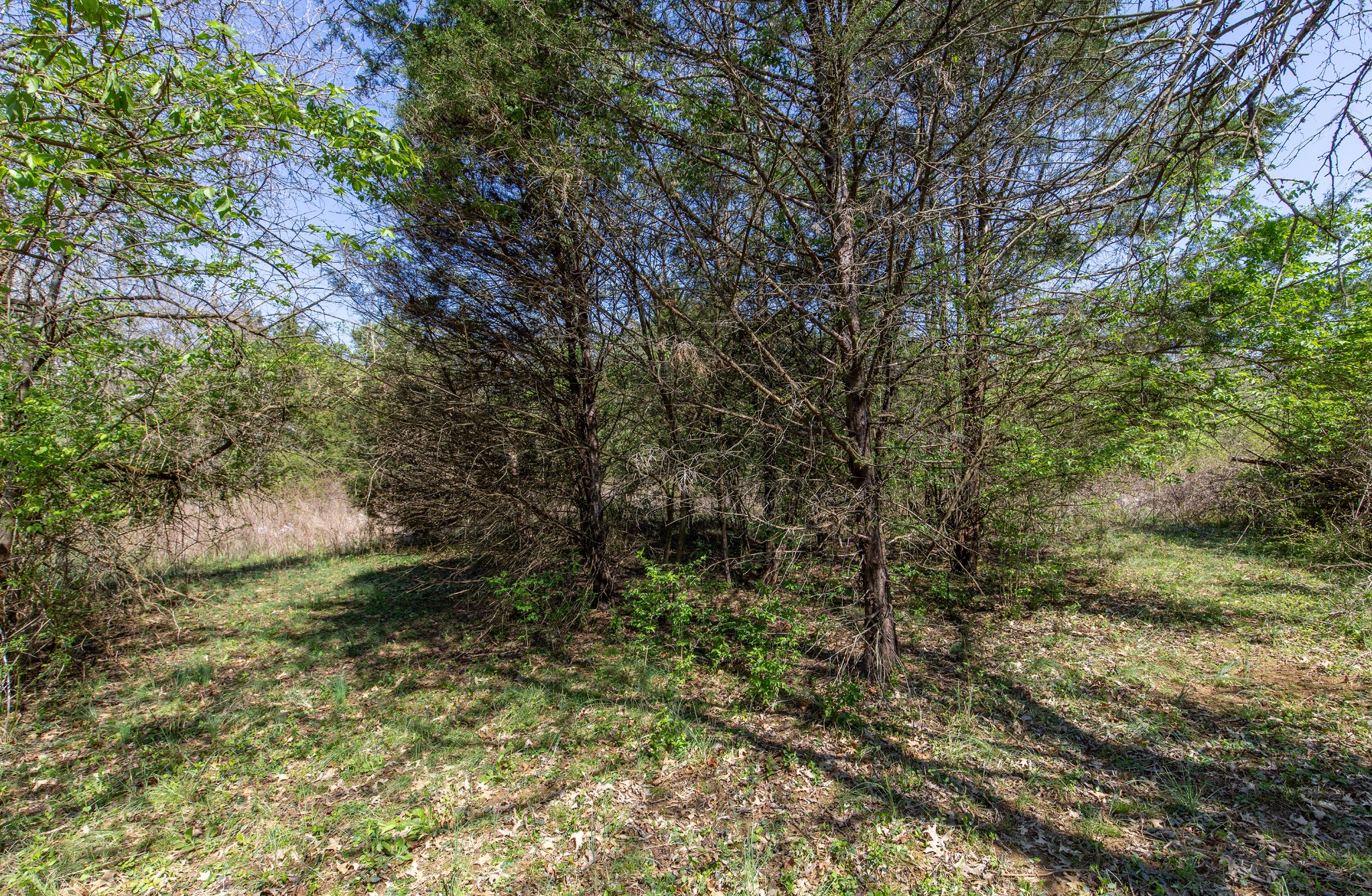 227 Spero Road Goodlettsville TN 37072