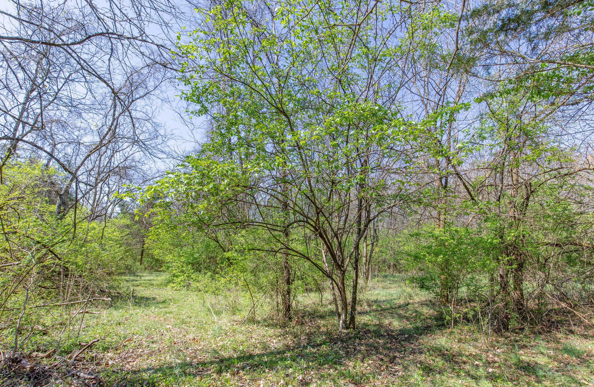 227 Spero Road Goodlettsville TN 37072