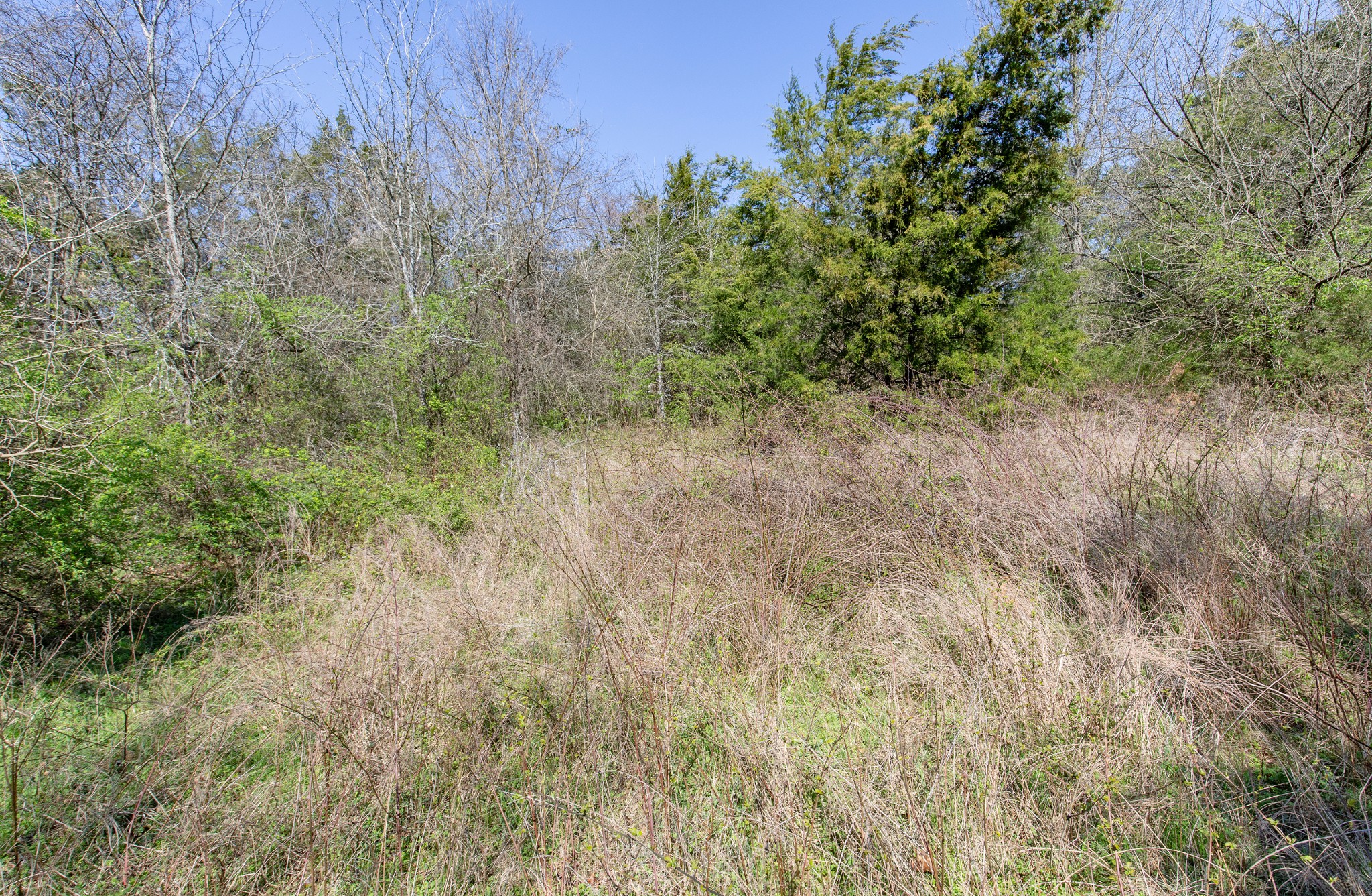 227 Spero Road Goodlettsville TN 37072
