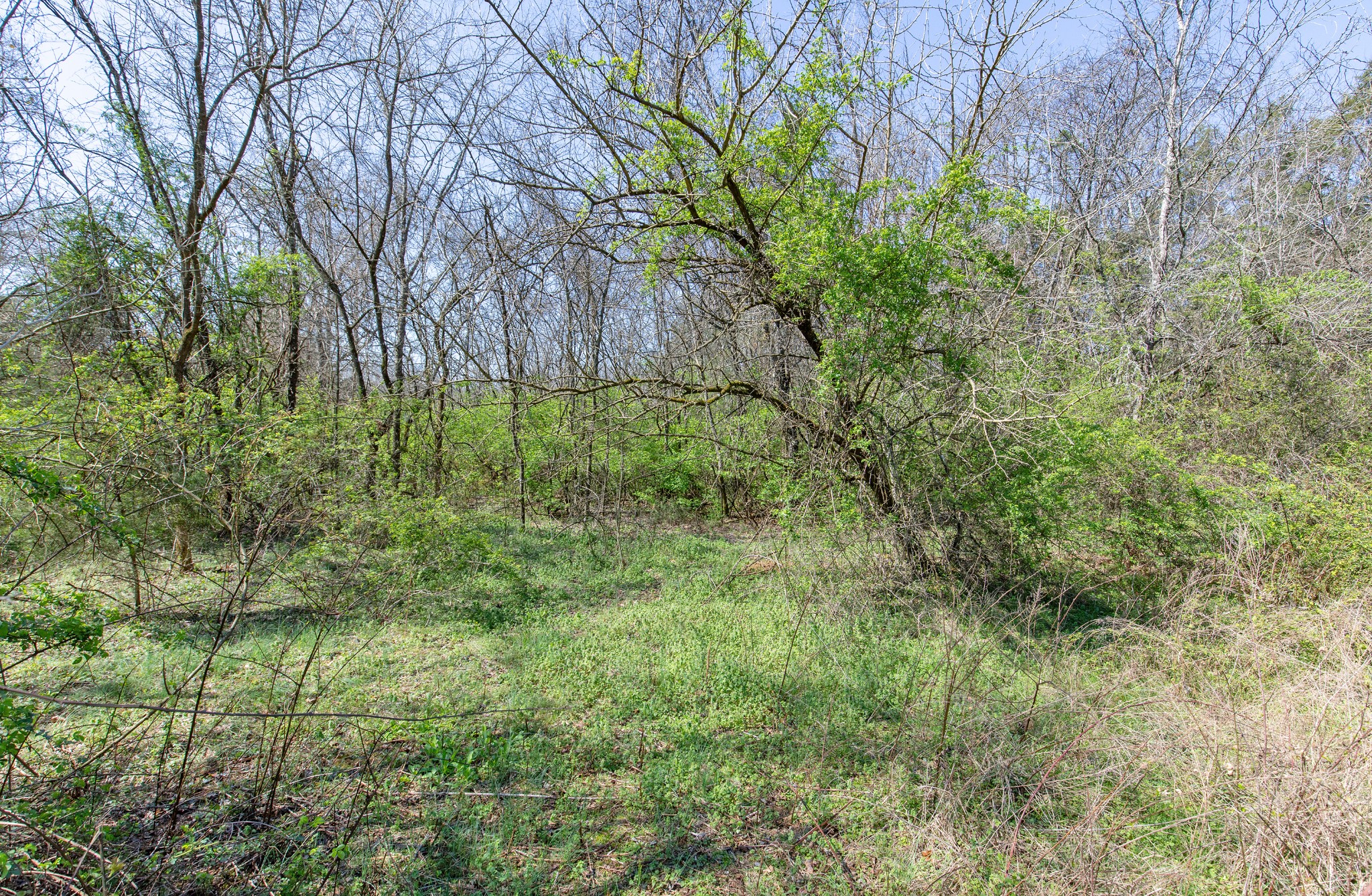 227 Spero Road Goodlettsville TN 37072