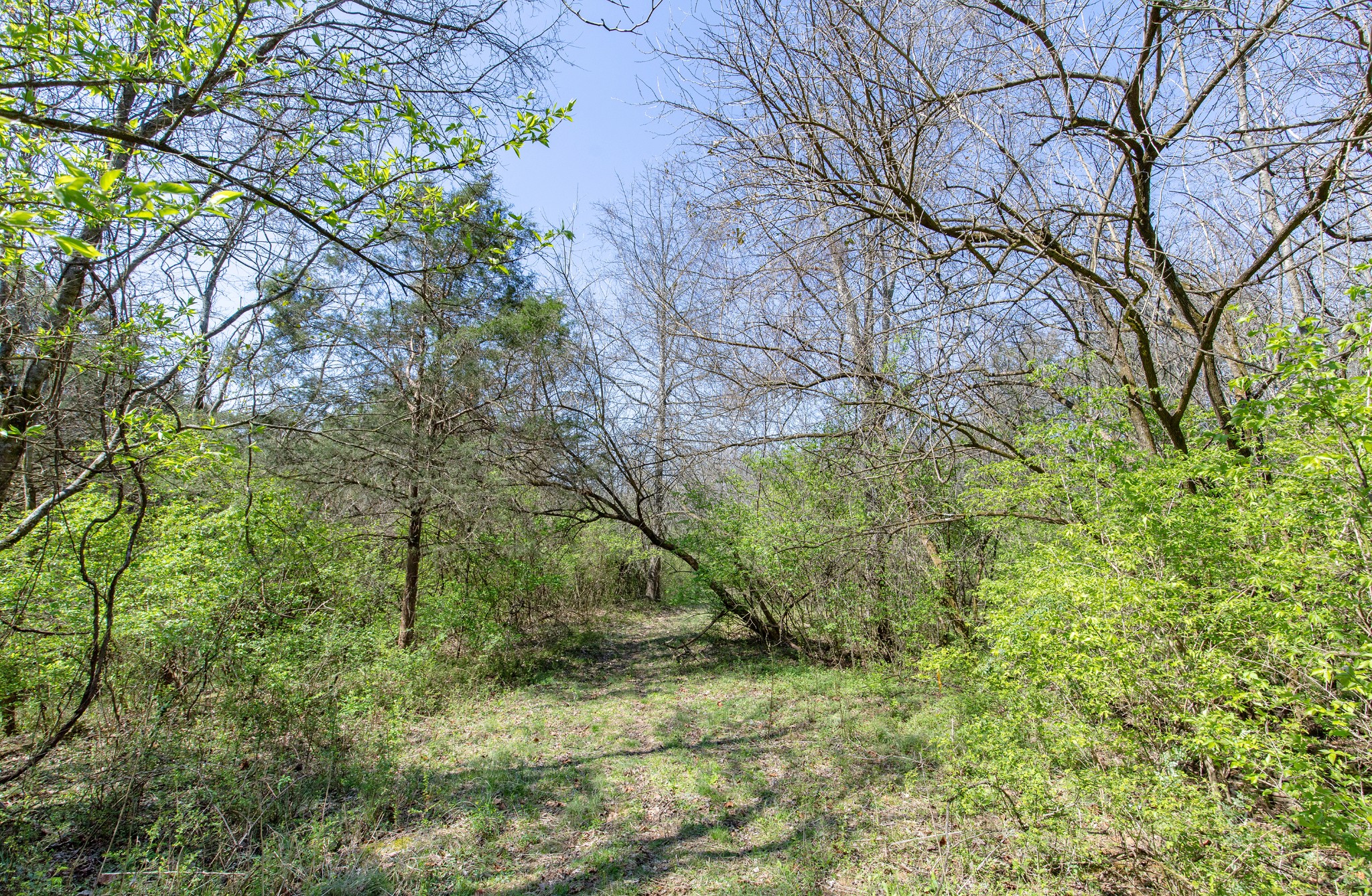 227 Spero Road Goodlettsville TN 37072