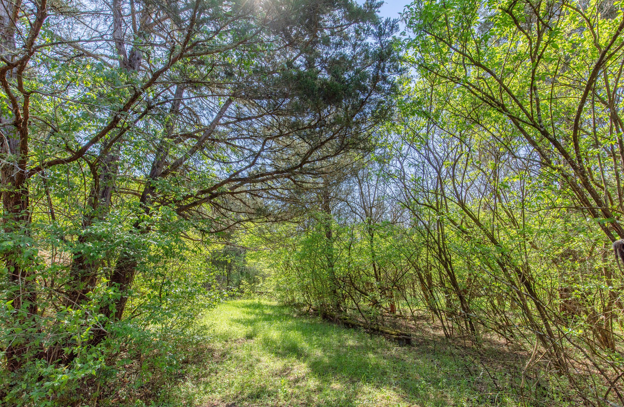 227 Spero Road Goodlettsville TN 37072