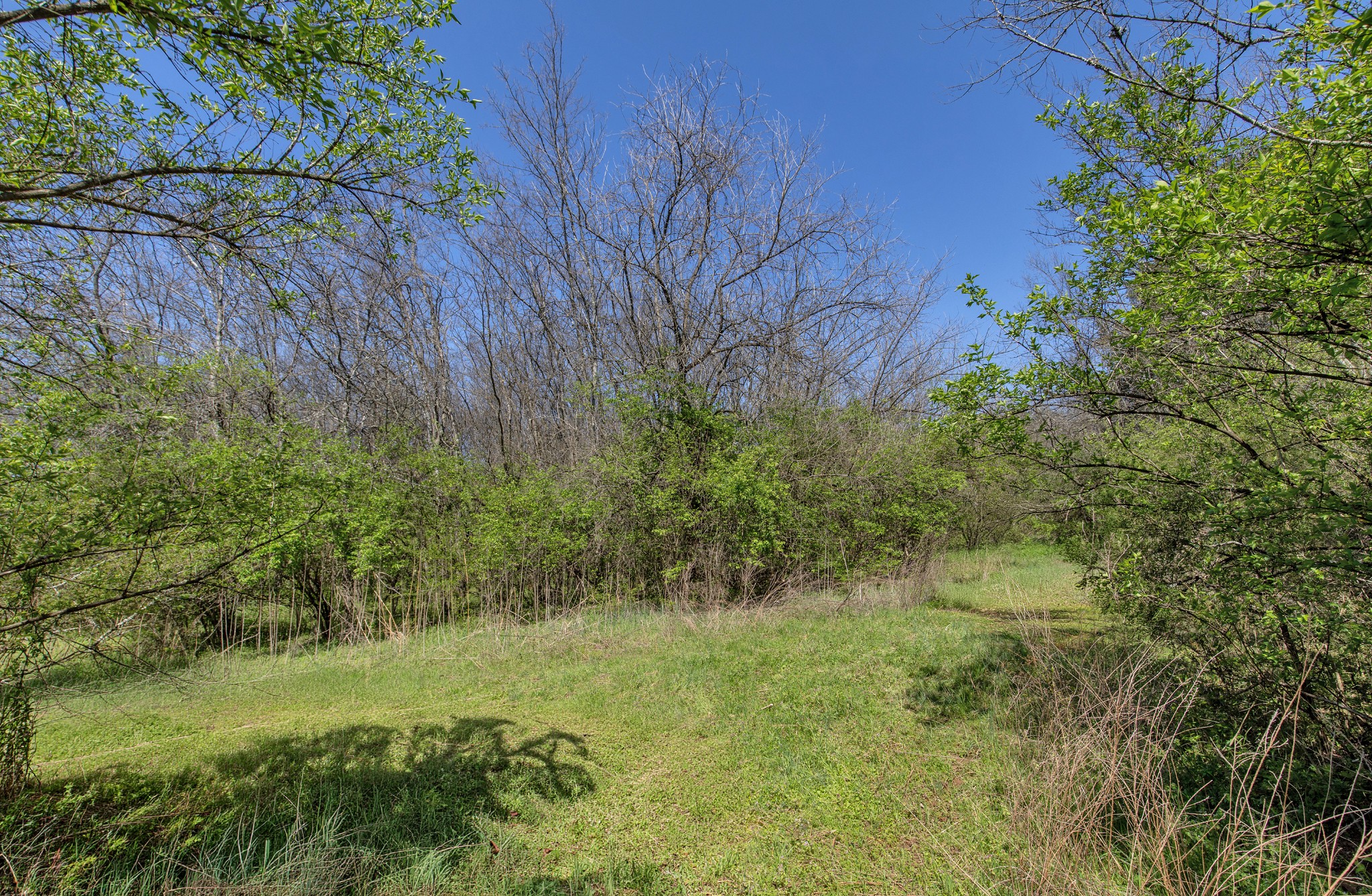 227 Spero Road Goodlettsville TN 37072