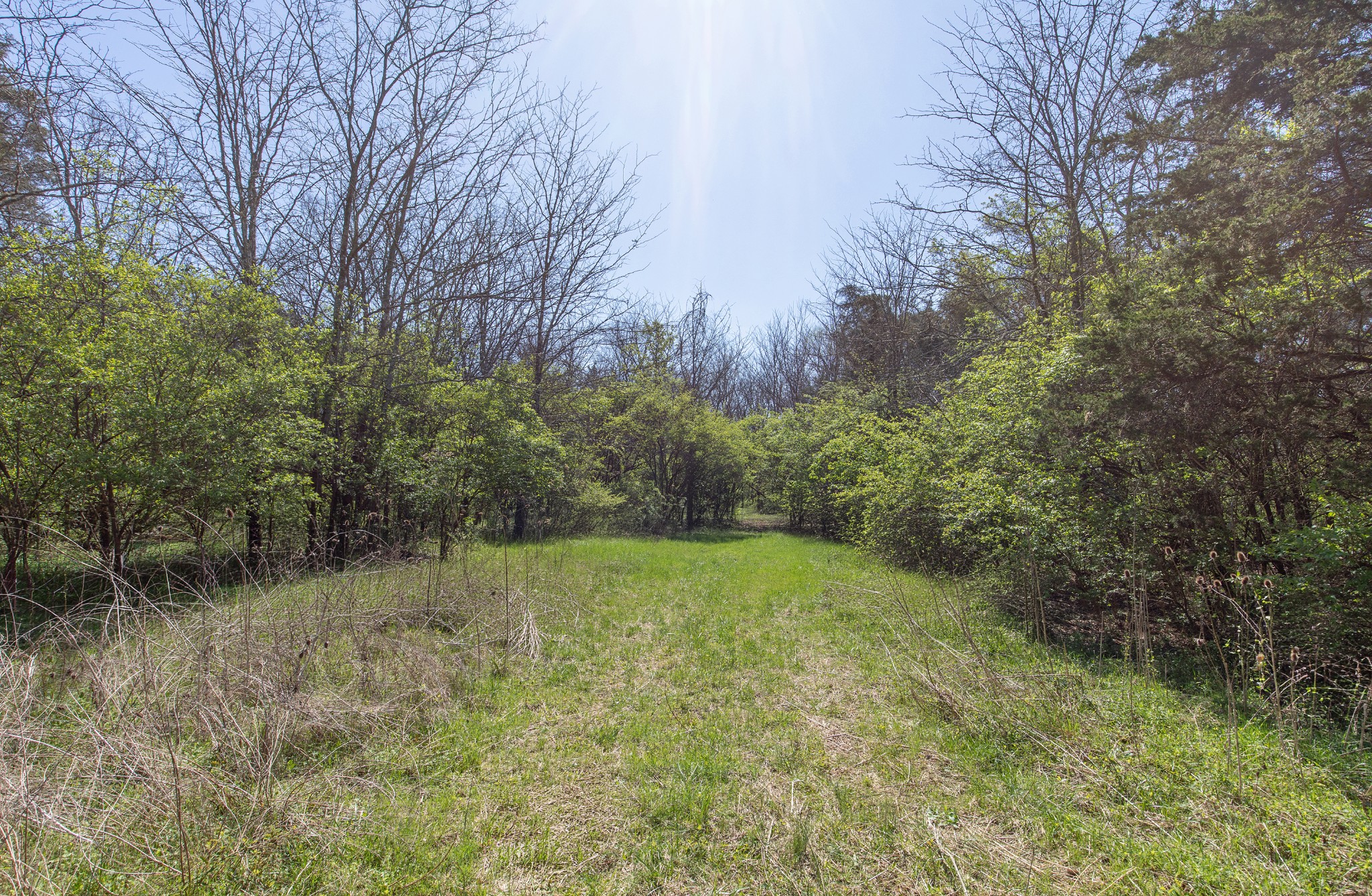 227 Spero Road Goodlettsville TN 37072