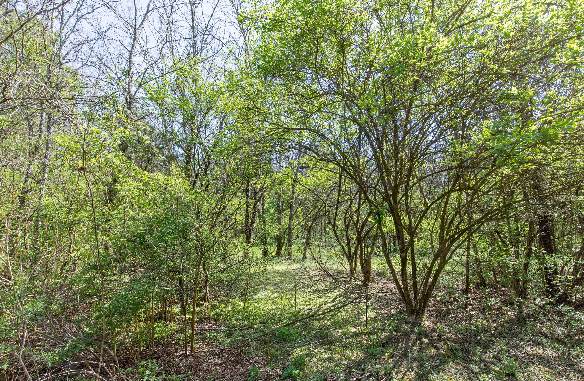 227 Spero Road Goodlettsville TN 37072