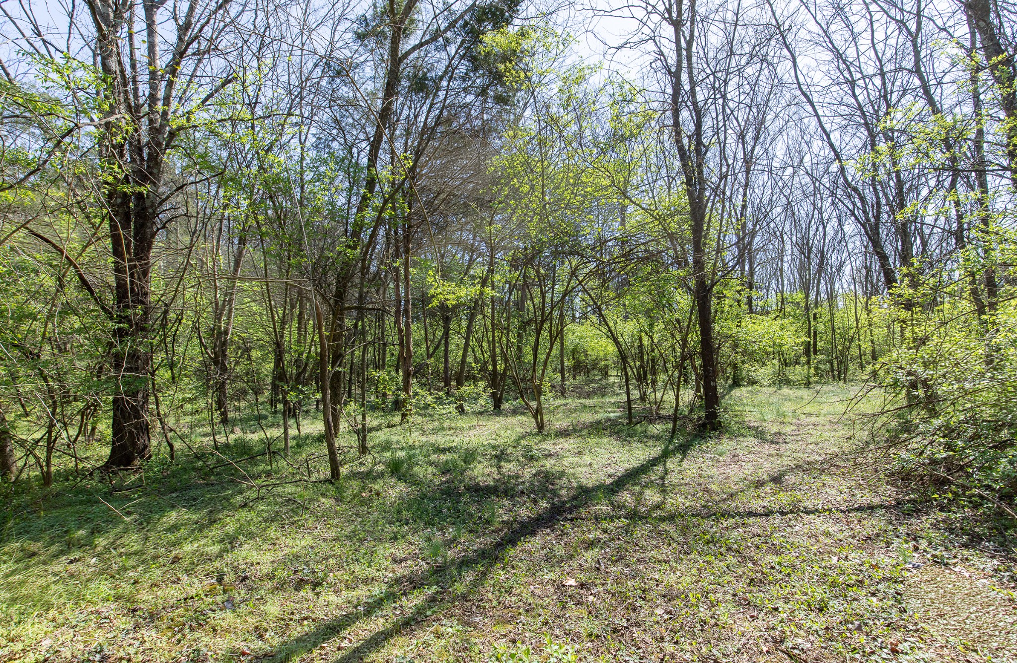 227 Spero Road Goodlettsville TN 37072