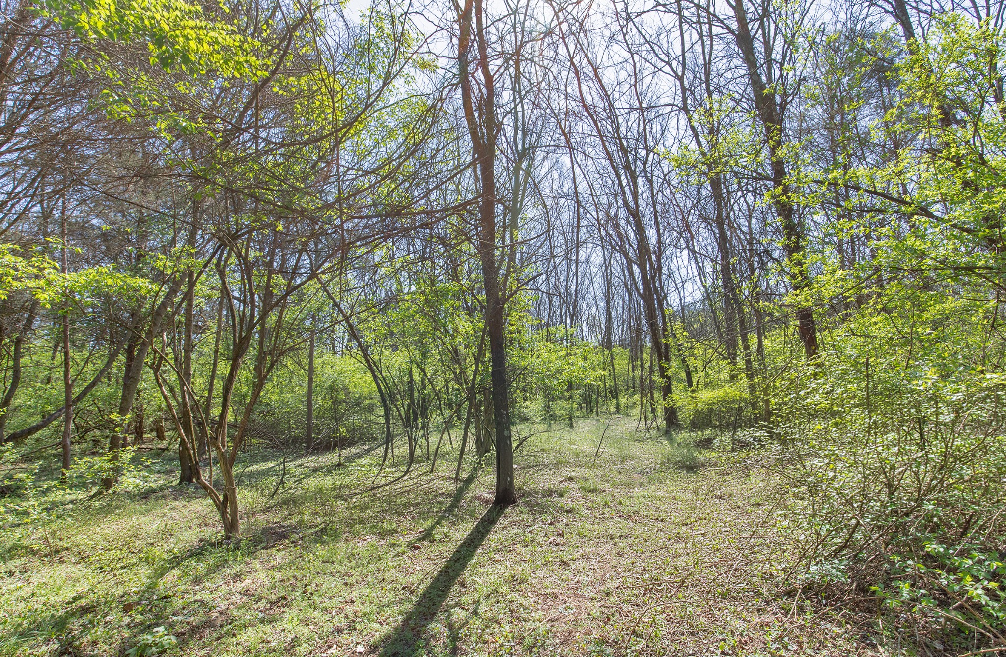 227 Spero Road Goodlettsville TN 37072