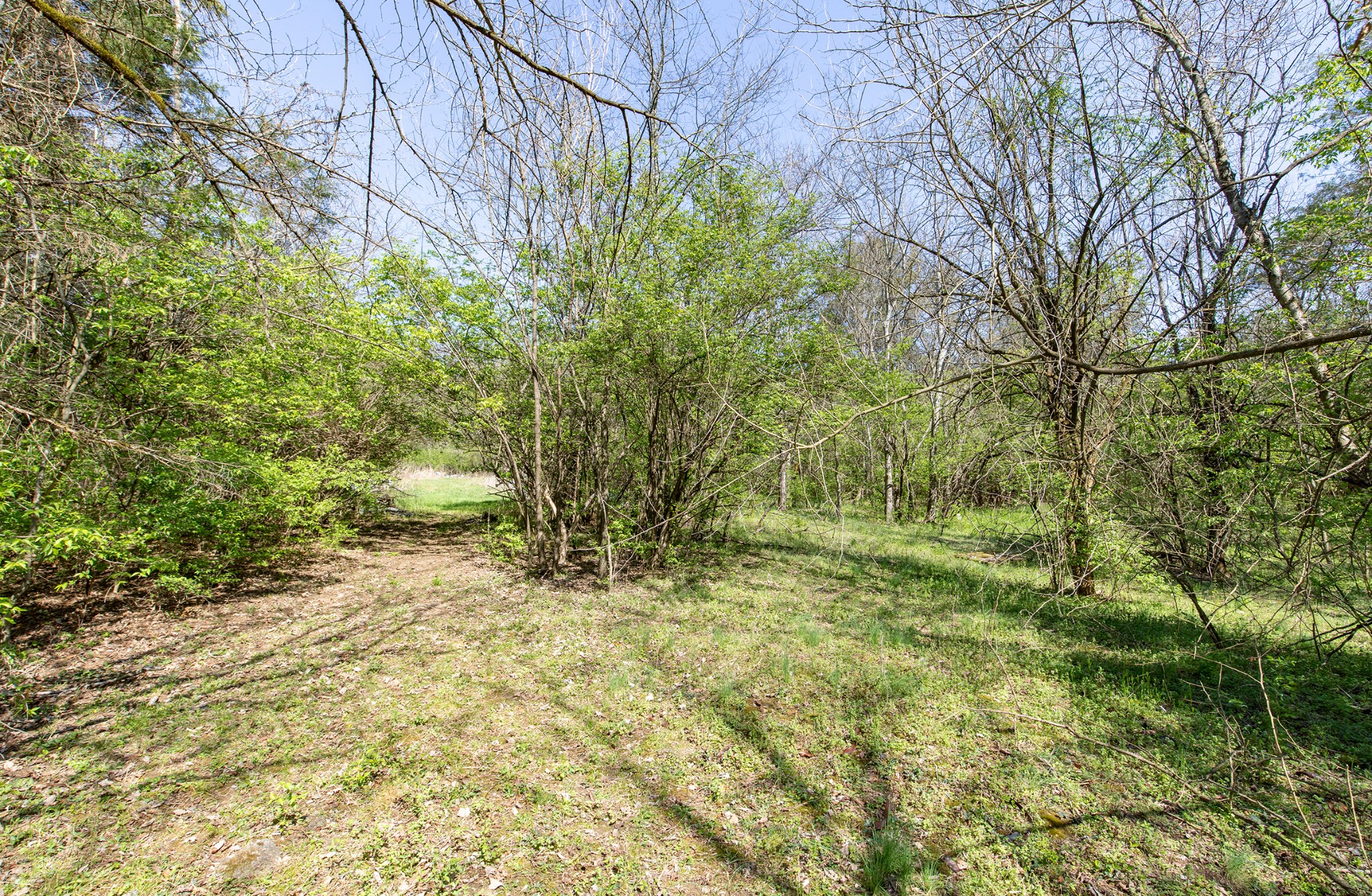 227 Spero Road Goodlettsville TN 37072