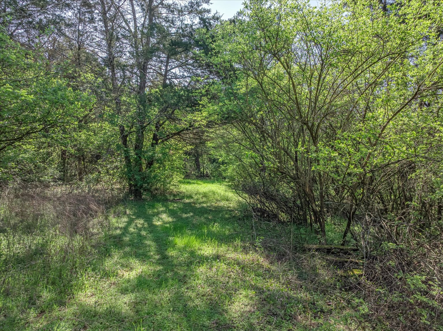227 Spero Road Goodlettsville TN 37072
