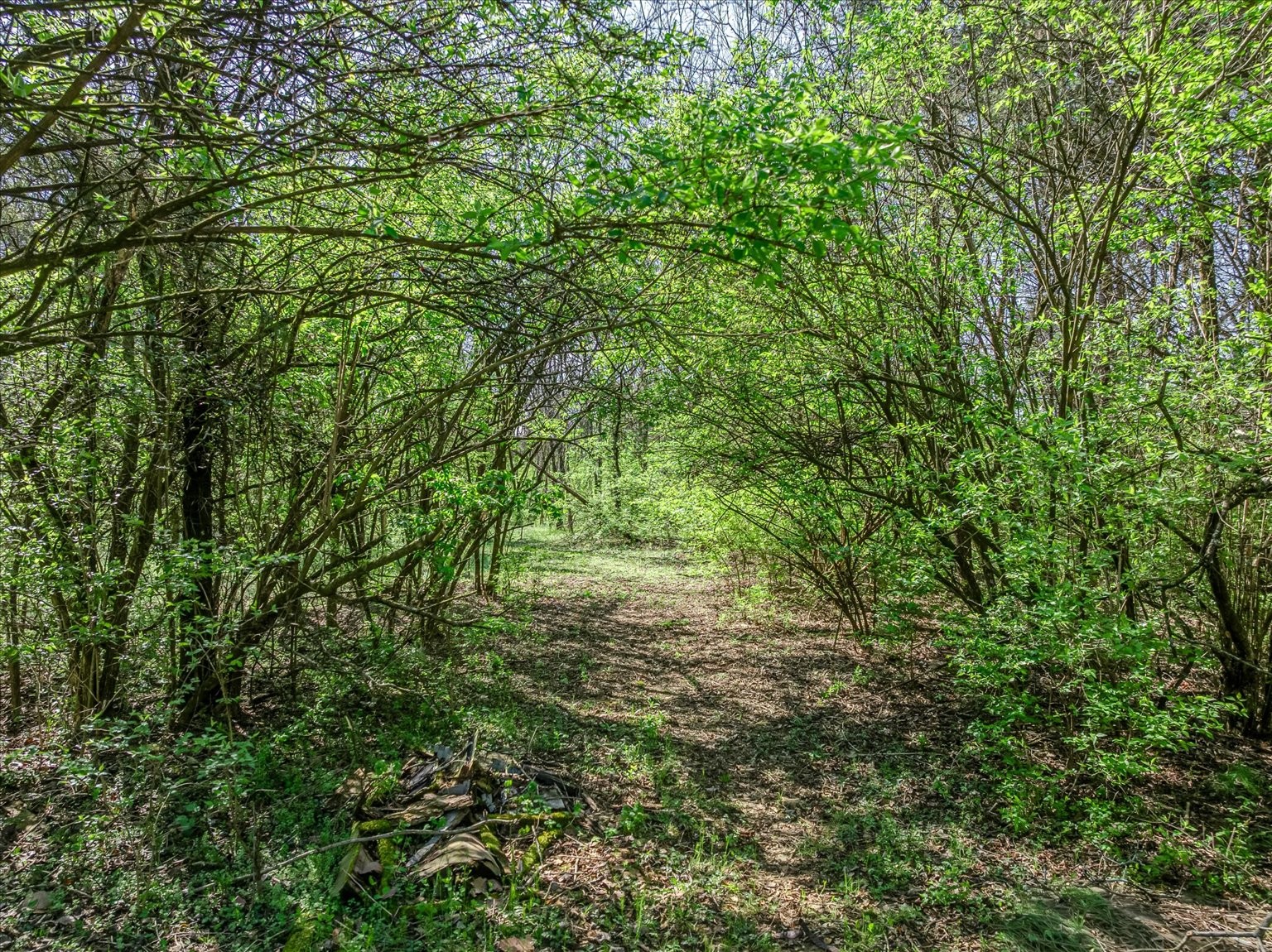 227 Spero Road Goodlettsville TN 37072