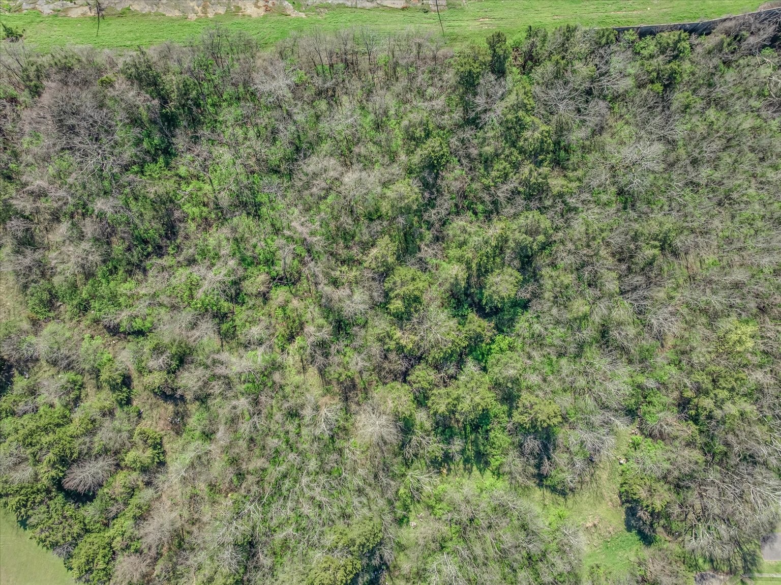 227 Spero Road Goodlettsville TN 37072