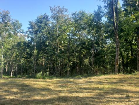 0 Sands Road Pulaski TN 38478