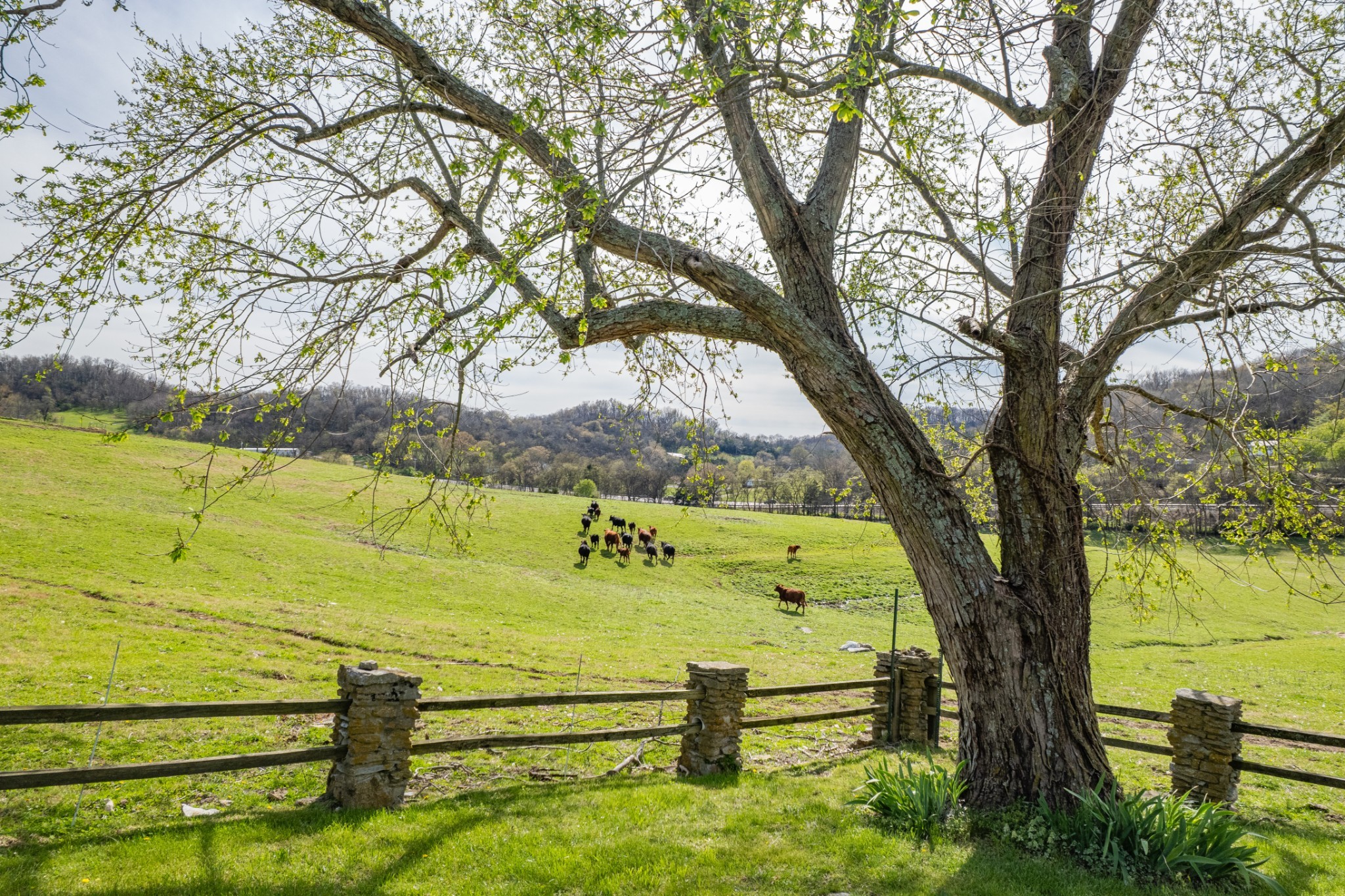 1839 Polly Adams Road Belfast TN 37019