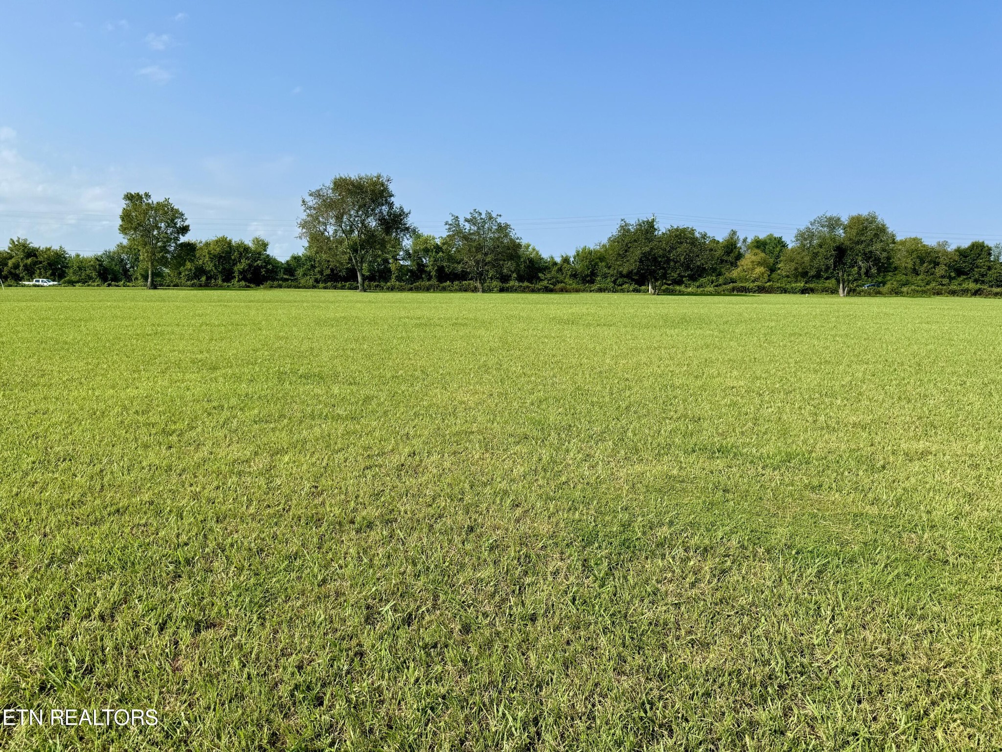 142 Arbor Lane Dandridge TN 37725