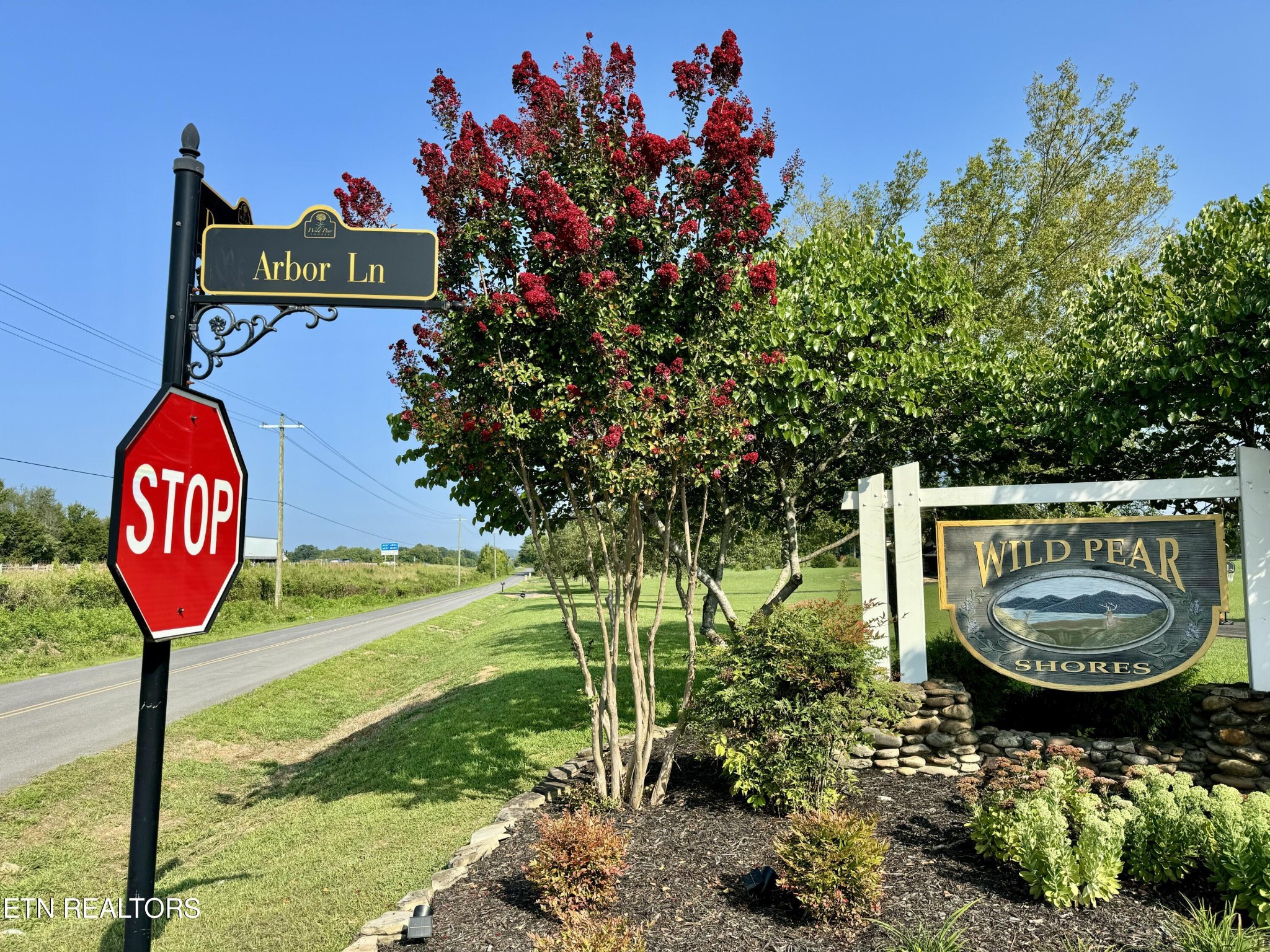 142 Arbor Lane Dandridge TN 37725