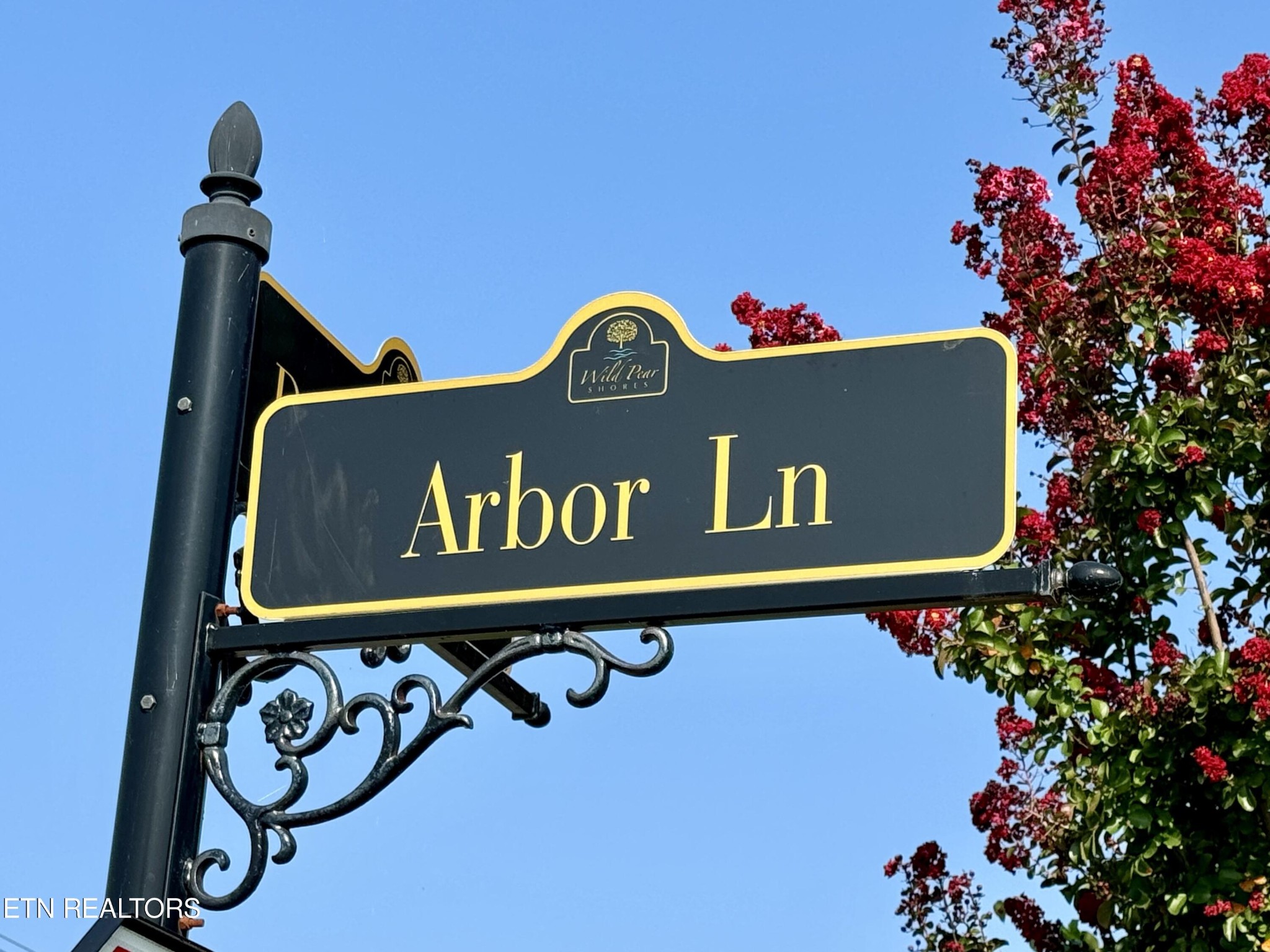 142 Arbor Lane Dandridge TN 37725