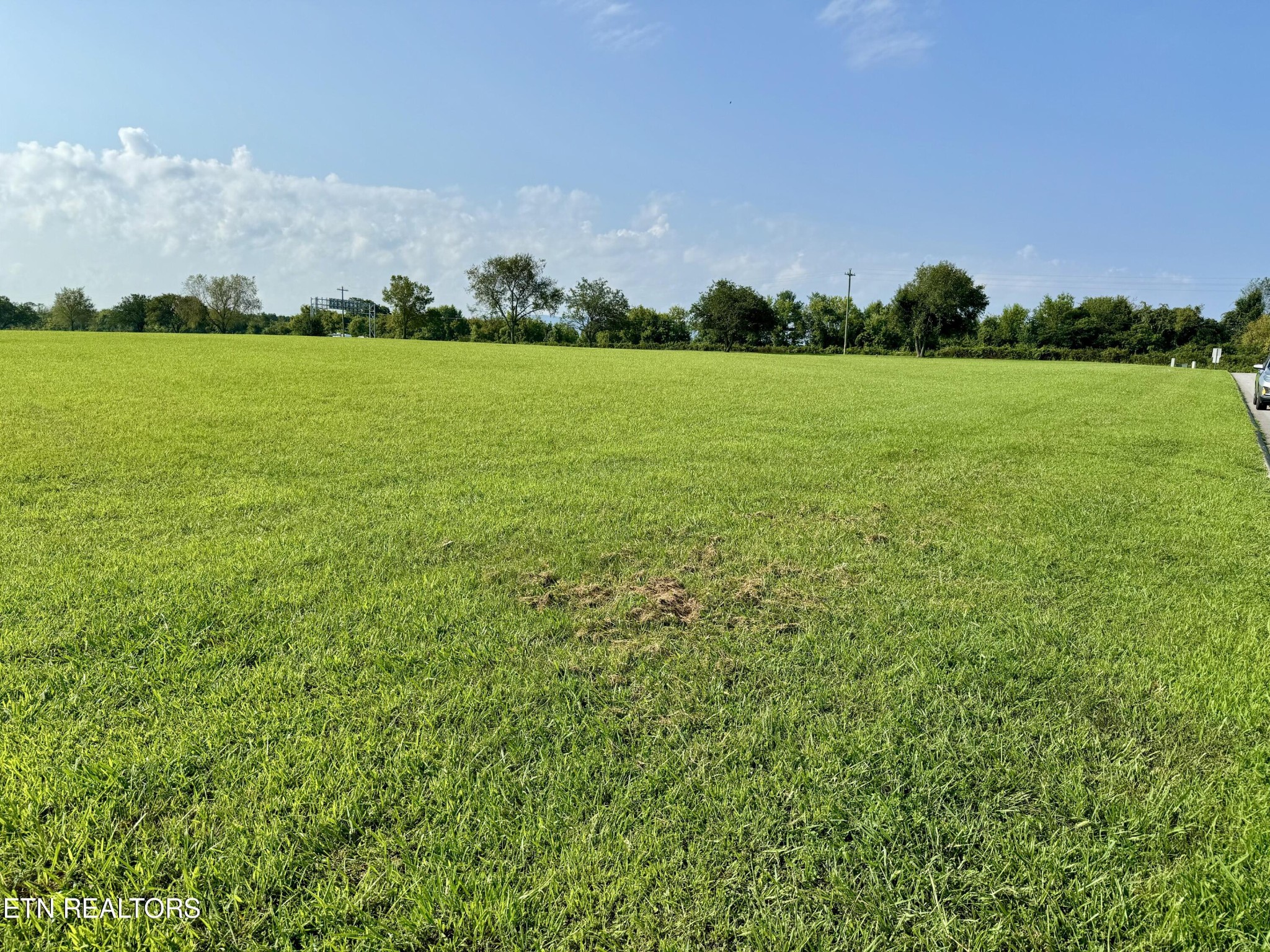 142 Arbor Lane Dandridge TN 37725