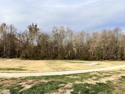 205B Folsom Pass Spring Hill TN 37174