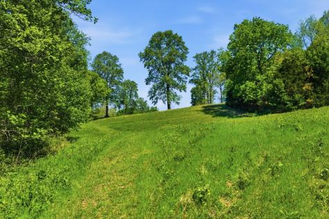 1550 Little Bartons Creek Road Cumberland Furnace TN 37051