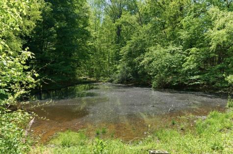1550 Little Bartons Creek Road Cumberland Furnace TN 37051