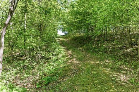 1550 Little Bartons Creek Road Cumberland Furnace TN 37051