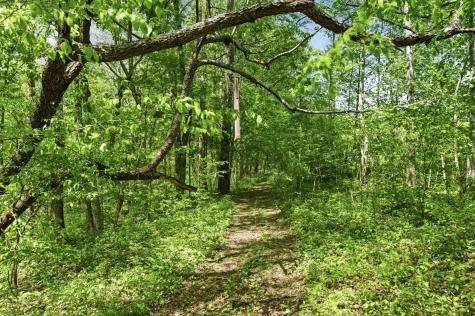 1550 Little Bartons Creek Road Cumberland Furnace TN 37051