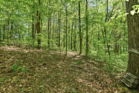 1550 Little Bartons Creek Road Cumberland Furnace TN 37051