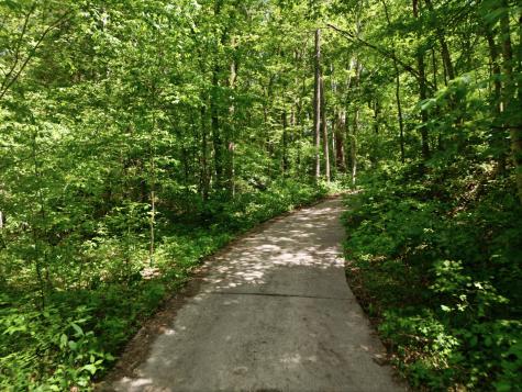 1550 Little Bartons Creek Road Cumberland Furnace TN 37051