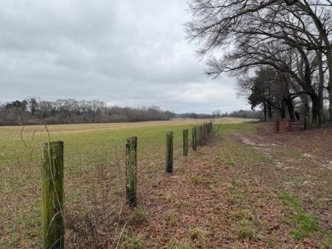 1 Beth Page Road Estill Springs TN 37330